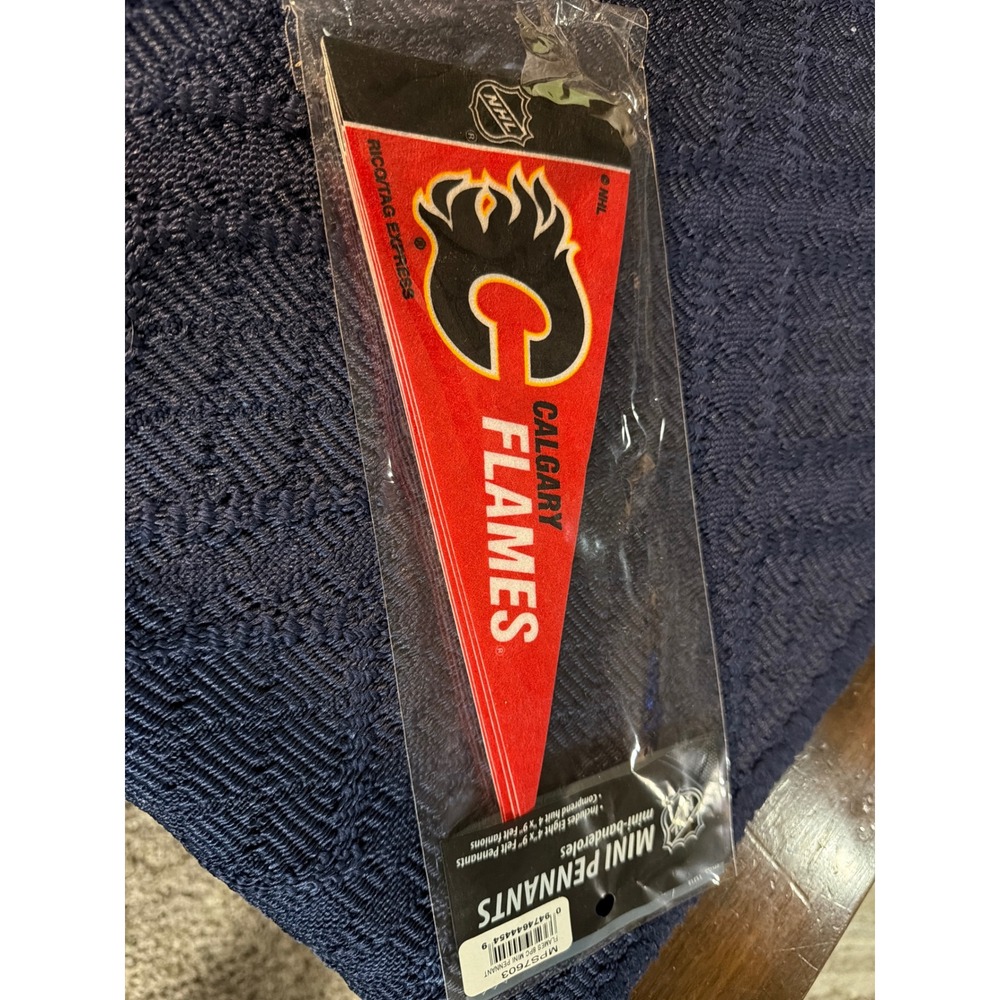 NHL Calgary Flames Mini Pennant 8-Pack Rico Tag Express Red Black MP57603 4x9in